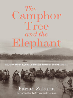 cover image of The Camphor Tree and the Elephant